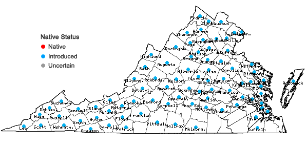 Locations ofBarbarea vulgaris R. Brown in Virginia