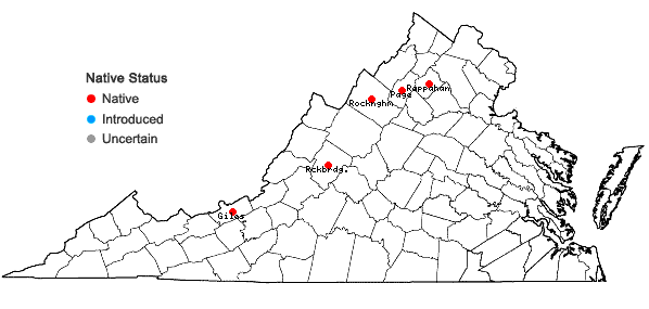 Locations ofBarbilophozia barbata (Schmidel ex Schreb.) Loeske in Virginia