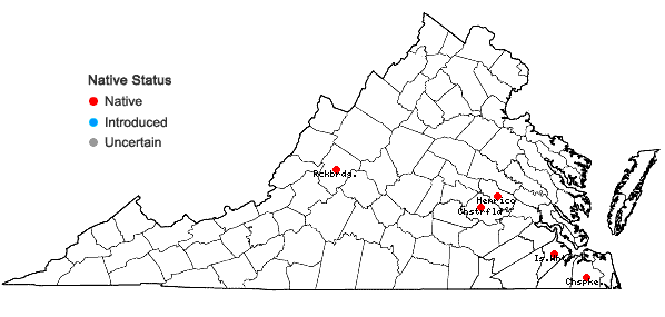 Locations ofBarbula indica (Hook.) Spreng. var. indica in Virginia