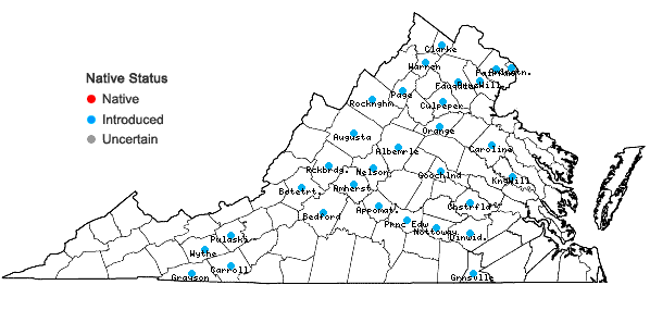 Locations ofBassia scoparia (L.) A.J. Scott in Virginia