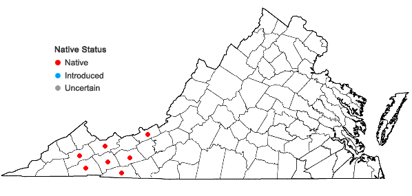 Locations ofBazzania denudata (Torr. ex Gottsche, Lindenb. & Nees) Trevis. in Virginia