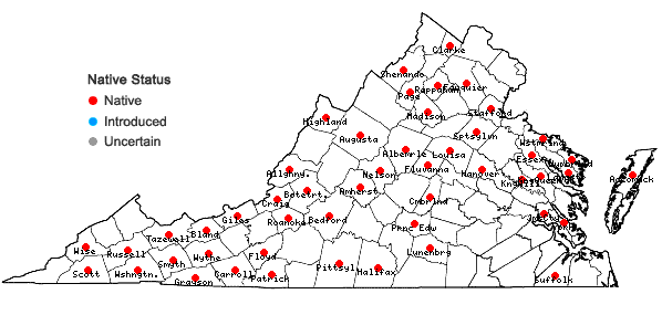 Locations ofBazzania trilobata (L.) Gray in Virginia
