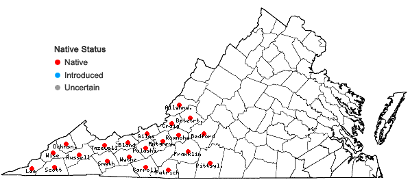 Locations ofBerberis canadensis P. Mill. in Virginia