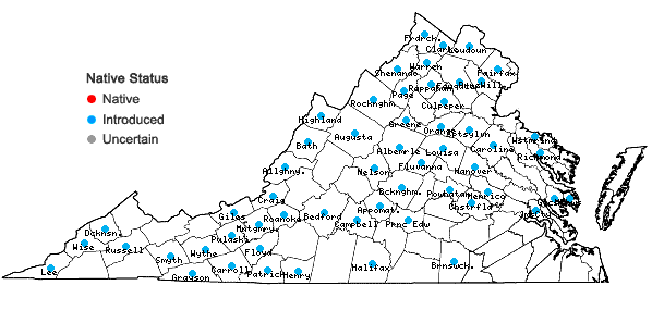 Locations ofBerberis thunbergii DC in Virginia