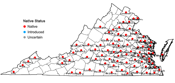 Locations ofBetula nigra L. in Virginia
