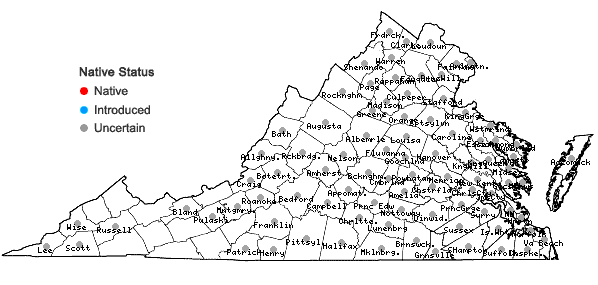 Locations ofBidens aristosa (Michx.) Britt. in Virginia