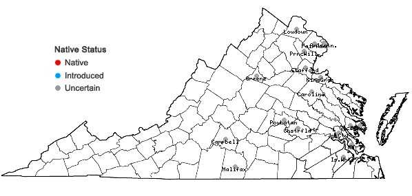 Locations ofBidens aristosa (Michx.) Britt. in Virginia