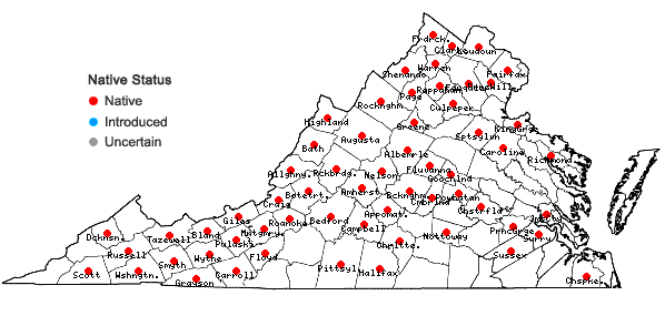 Locations ofBidens cernua L. in Virginia