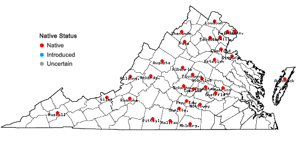 Locations ofBidens comosa (Gray) Wiegand in Virginia