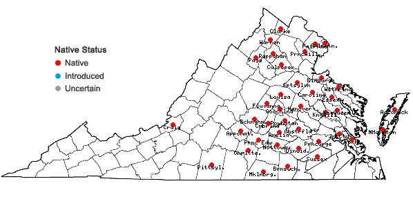 Locations ofBidens connata Muhl. ex Willd. in Virginia