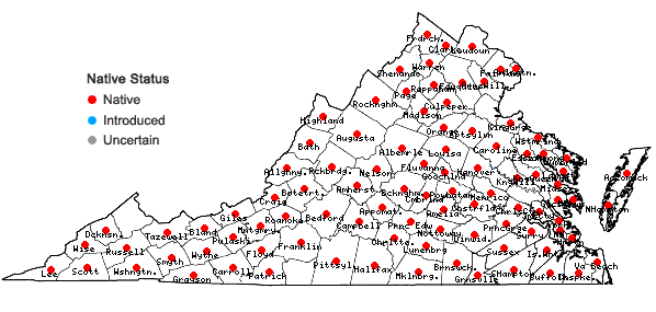 Locations ofBidens frondosa L. in Virginia