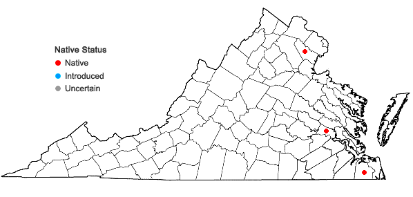 Locations ofBidens mitis (Michx.) Sherff in Virginia