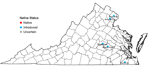 Locations ofBidens pilosa L. in Virginia