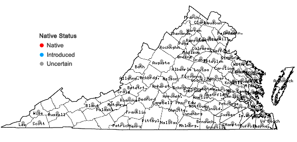 Locations ofBidens polylepis Blake in Virginia