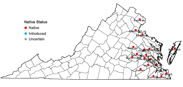 Locations ofBidens trichosperma (Michx.) Britt. in Virginia