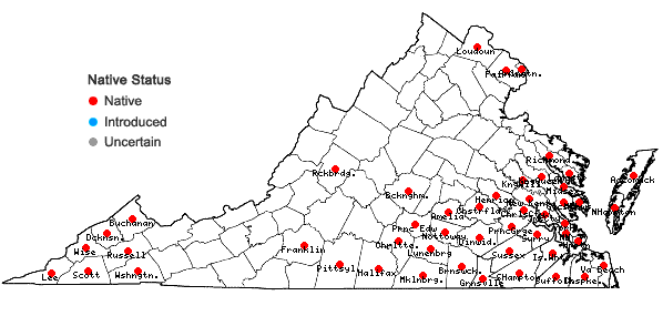 Locations ofBignonia capreolata L. in Virginia