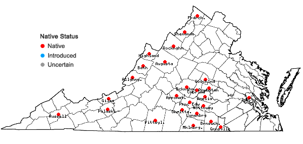 Locations ofBlephilia ciliata (L.) Benth. in Virginia
