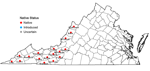 Locations ofBlephilia hirsuta (Pursh) Benth. in Virginia