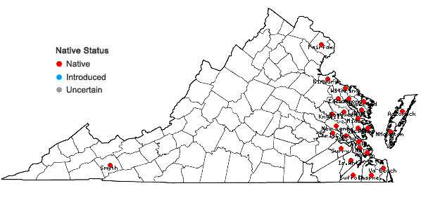Locations ofBolboschoenus robustus (Pursh) Sojak in Virginia