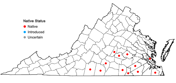 Locations ofBoltonia caroliniana (Walt.) Fern. in Virginia