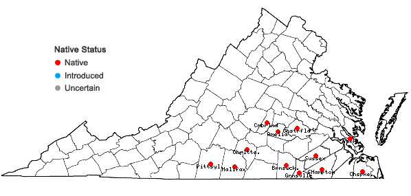 Locations ofBoltonia caroliniana (Walt.) Fern. in Virginia