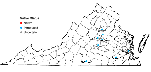 Locations ofBoltonia diffusa Ell. var. diffusa in Virginia