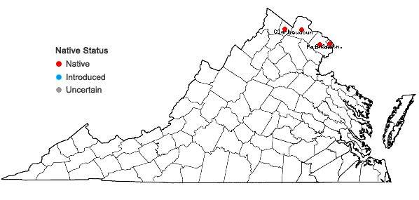 Locations ofBorodinia dentata (Raf.) P.J. Alexander & Windham in Virginia