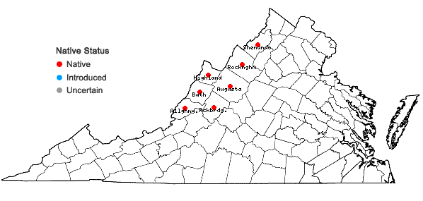Locations ofBorodinia serotina (Steele) P.J. Alexander & Windham in Virginia