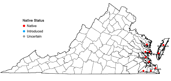 Locations ofBorrichia frutescens (L.) DC. in Virginia