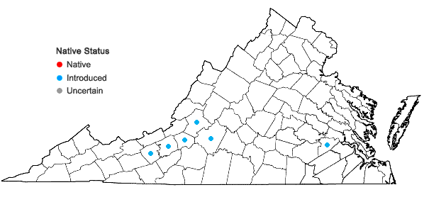 Locations ofBothriochloa ischaemum (L.) Keng in Virginia