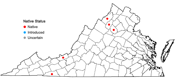 Locations ofBotrychium simplex E. Hitchc. var. simplex in Virginia