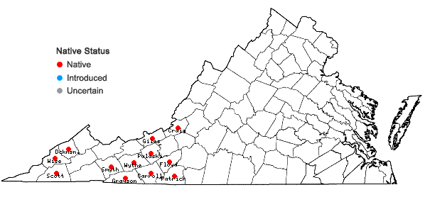 Locations ofBoykinia aconitifolia Nutt. in Virginia
