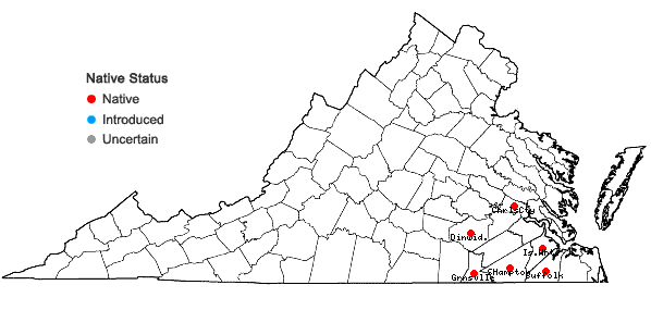Locations ofBrachelyma subulatum (P. Beauv.) Cardot in Virginia
