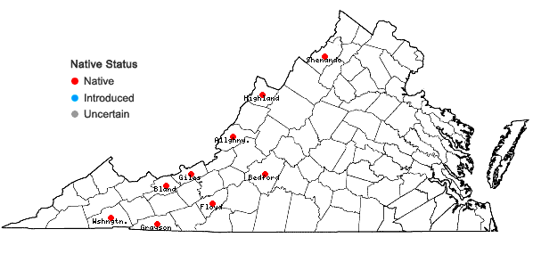 Locations ofBrachyelytrum aristosum (Michx.) Trel. in Banner & Coville in Virginia