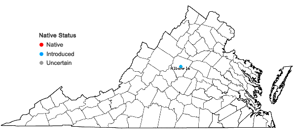 Locations ofBrachypodium sylvaticum (Huds.) P. Beauv. ssp. sylvaticum in Virginia