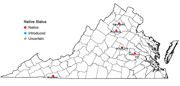 Locations ofBrachytheciastrum velutinum (Hedw.) Ignatov & Huttunen var. velutinum in Virginia