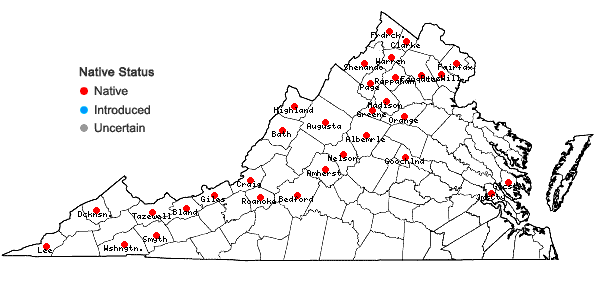 Locations ofBrachythecium rivulare Schimper in Virginia