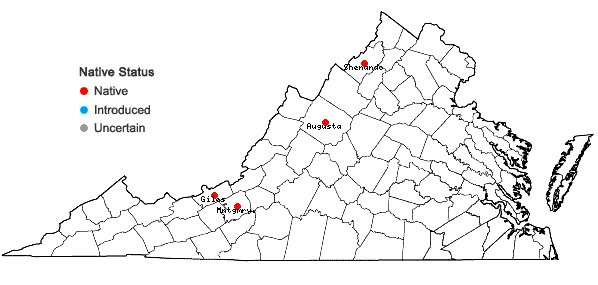 Locations ofBrachythecium rotaeanum de Not. in Virginia