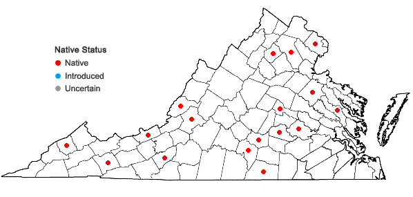 Locations ofBrachythecium rutabulum (Hedw.) Schimp. in Virginia