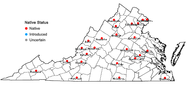 Locations ofBrachythecium salebrosum (Hoffm. ex F. Weber & D. Mohr) Schimp. in Virginia