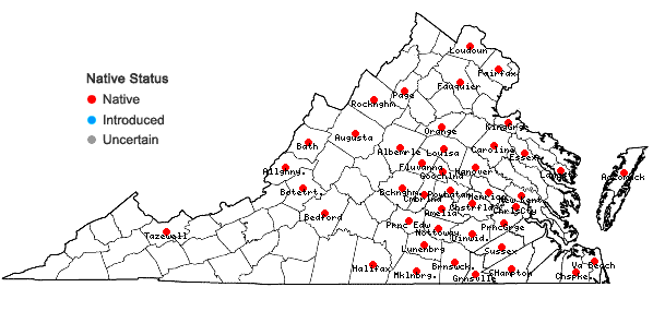 Locations ofBrasenia schreberi J. F. Gmel. in Virginia