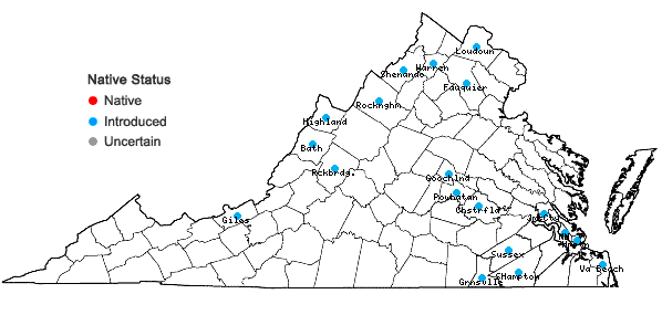 Locations ofBrassica juncea (Linnaeus) Czern. in Virginia