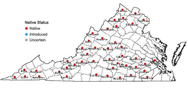 Locations ofBrickellia eupatorioides (L.) Shinners in Virginia