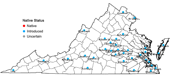 Locations ofBromus catharticus Vahl var. catharticus in Virginia