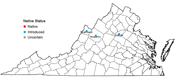 Locations ofBromus erectus Huds. in Virginia