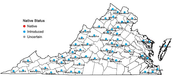 Locations ofBromus inermis Leyss. in Virginia