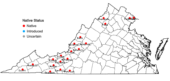 Locations ofBromus latiglumis (Shear) A.S. Hitchc. in Virginia