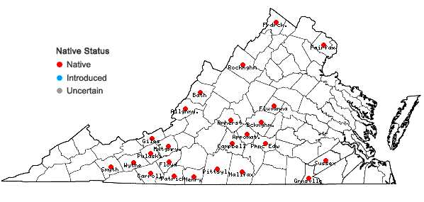 Locations ofBromus nottowayanus Fern. in Virginia
