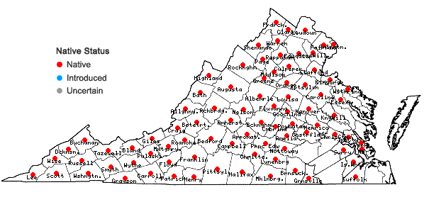 Locations ofBromus pubescens Sprengel in Virginia