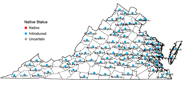 Locations ofBromus racemosus L. in Virginia